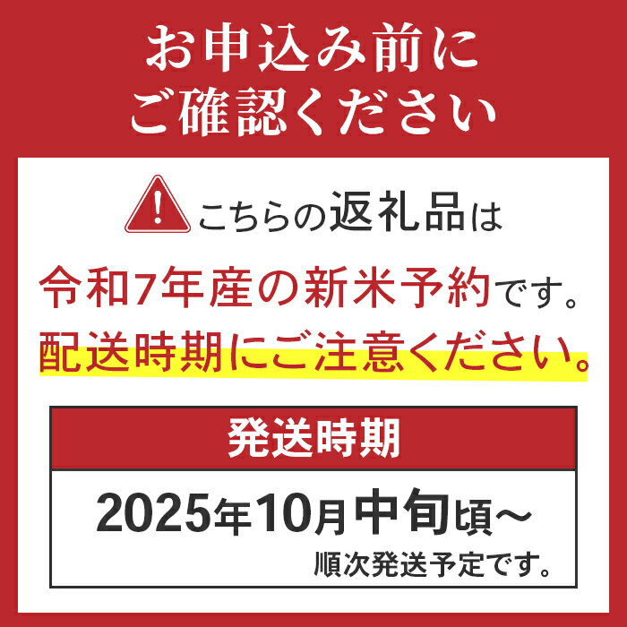 【ふるさと納税】A4-02A新潟県長岡産コシヒカリ・新之助　各5kg食べ比べセット