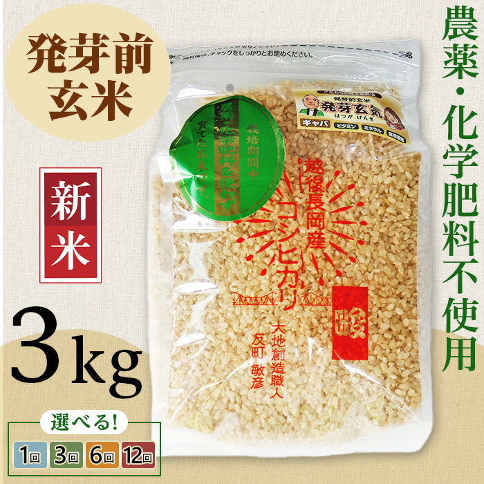 新米予約 令和7年産 米 玄米 発芽前玄米 3kg 新潟 コシヒカリ 定期便 選べる回数 1回 3回 6回 12回 3ヶ月 6ヶ月 12ヶ月 新潟こしひかり お米 健康 腸活 美容 新潟県産コシヒカリ発芽前玄米(大地創造職人 反町敏彦)