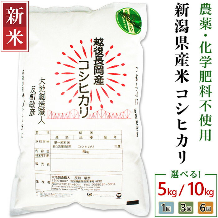 新米予約 令和7年産 米 定期便 5kg 10kg 新潟 コシヒカリ 選べる回数 1回 3回 6回 3ヶ月 6ヶ月 新潟こしひかり 精米 白米 お米 新潟県産コシヒカリ(大地創造職人 反町敏彦)