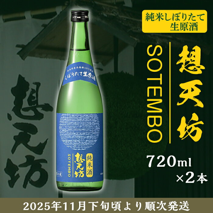 【ふるさと納税】 新潟 日本酒 H4-50A想天坊 純米しぼりたて生原酒 720ml×2本【河忠酒造】（2025年11月下旬以降発送）