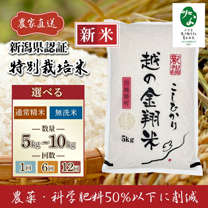 新米 令和7年産 米 無洗米 定期便 5kg 10kg 新潟 コシヒカリ 精米 白米 お米 選べる 1回 6回 12回 6ヶ月 12ヶ月 新潟こしひかり [越の金翔米]新潟県長岡産コシヒカリ「小さな生き物たちと育むお米」認証品(アグリカンパニーこしじ)