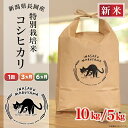 【ふるさと納税】新米予約 令和7年産 米 定期便 5kg 10kg 新潟 コシヒカリ 選べる 1回 3回 6回 3ヶ月 6ヶ月 新潟こしひかり 精米 白米 お米...