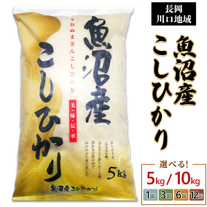 【ふるさと納税】楽天限定 米 定期便 5kg 白米 コシヒカリ 魚沼 令和4年 C2-K053【3ヶ月連続お届け】新潟県魚沼産コシヒカリ5kg（長岡川口地域）のサムネイル