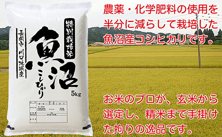 【ふるさと納税】米 5kg 白米 コシヒカリ 魚沼 令和3年 94-K51特別栽培米 新潟県魚沼産コシヒカリ（長岡川口地域）5kg