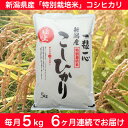 【ふるさと納税】6-016 【6ヶ月連続お届け】新潟県長岡産...