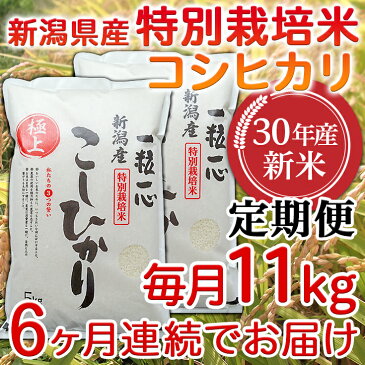 【ふるさと納税】12-007【6ヶ月連続お届け】新潟県長岡産特別栽培米コシヒカリ11kg【H30年産】