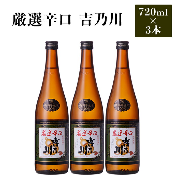 【ふるさと納税】 新潟 日本酒 95-B1厳選辛口 吉乃川 