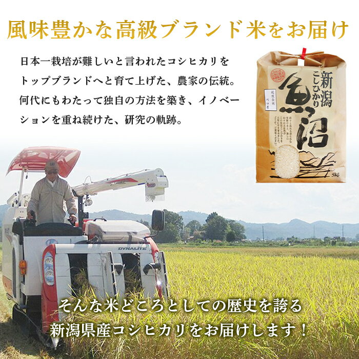 【ふるさと納税】米 5kg 白米 コシヒカリ 魚沼 令和3年 B7-37新潟県魚沼産（長岡川口地域）コシヒカリ5kg