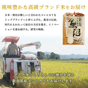 【ふるさと納税】米 5kg 白米 コシヒカリ 新潟 令和2年 B7-16【3ヶ月連続お届け】魚沼産コシヒカリ5kg（長岡川口地域）