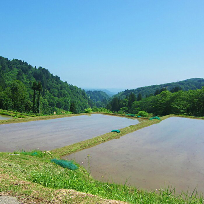 【ふるさと納税】 新潟 日本酒 H4-16壱醸 無濾過純米酒 1800ml（長岡市旧栃尾地区棚田産越淡麗100%）【越銘醸】 3