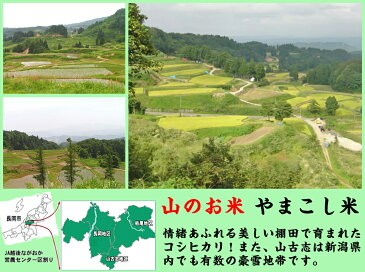 【ふるさと納税】12-009【6ヶ月連続お届け】新潟県長岡産コシヒカリ山古志地域棚田米12kg【H30年産】