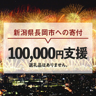 楽天ふるさと納税　【ふるさと納税】新潟県長岡市 返礼品なし お礼の品を辞退する（1口10万円ご支援）