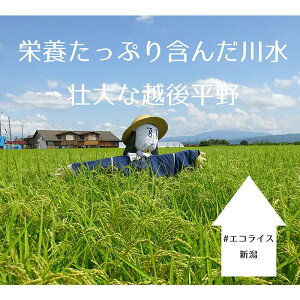 【ふるさと納税】67-11長岡生まれの「防災セットA」