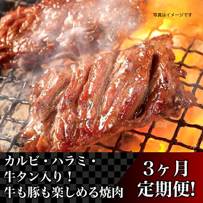 定期便 肉 焼肉 76-83【3ヶ月連続お届け】カルビ・ハラミ・牛タン入り！牛も豚も楽しめる焼肉定期便