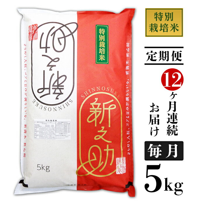 【ふるさと納税】米 定期便 5kg 12ヶ月 白米 新之助 新潟 令和5年 B7-35【12ヶ月連続お届け】長岡産新...