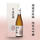 【ふるさと納税】 新潟 日本酒 C0-02越後雪紅梅　純米大吟醸