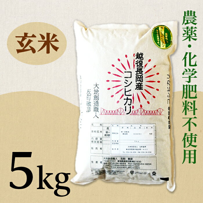 37位! 口コミ数「4件」評価「4.5」米 5kg 玄米 コシヒカリ 新潟 令和5年 E1-10新潟県長岡産コシヒカリ玄米5kg