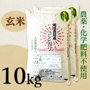【ふるさと納税】米 10kg 玄米 コシヒカリ 新潟 令和5