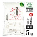 16位! 口コミ数「0件」評価「0」米 定期便 5kg 6ヶ月 白米 コシヒカリ 新潟 令和5年 E1-12【6ヶ月連続お届け】新潟県長岡産コシヒカリ5kg