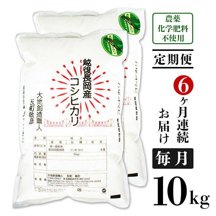 【ふるさと納税】米 定期便 10kg 6ヶ月 白米 コシヒカ