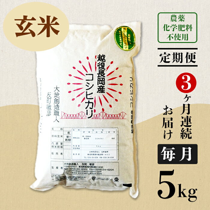 【ふるさと納税】米 定期便 5kg 玄米 コシヒカリ 新潟 