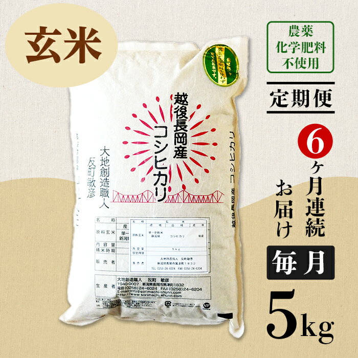 【ふるさと納税】米 定期便 5kg 玄米 6ヶ月 コシヒカリ