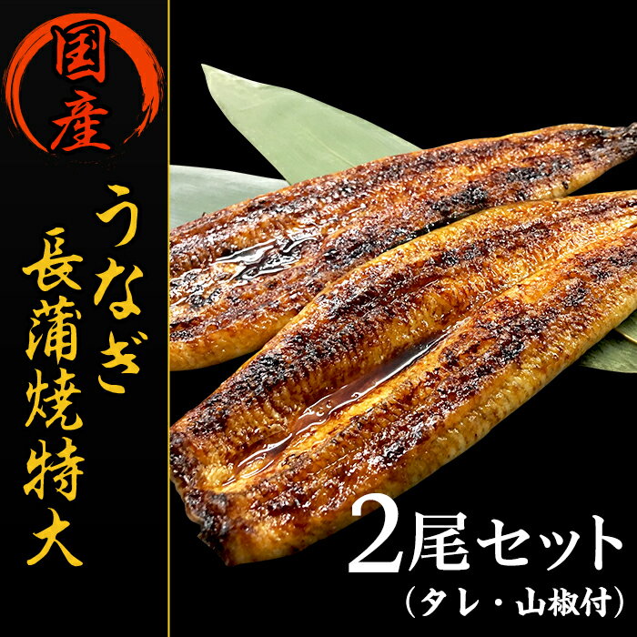 8位! 口コミ数「0件」評価「0」うなぎ 鰻 国産 2尾 蒲焼き H7-44国産うなぎ長蒲焼特大2尾セット（タレ・山椒付）