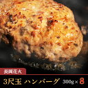 【ふるさと納税】ハンバーグ 温めるだけ J0-07長岡花火 三尺玉ハンバーグ300g×8個