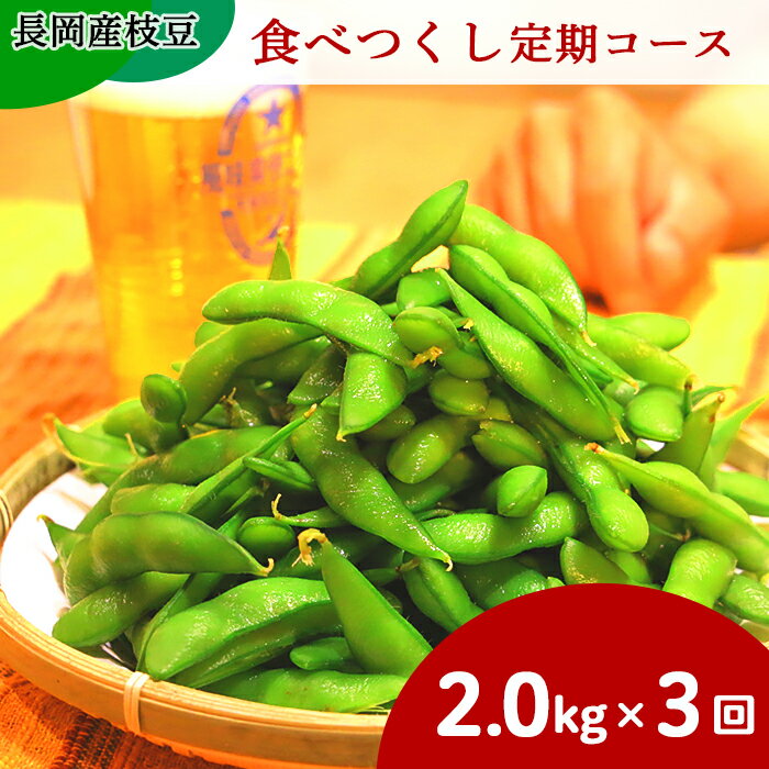 【ふるさと納税】枝豆 新潟 75E-T新潟県長岡産枝豆【2.0kg×3回お届け】食べつくし定期コース