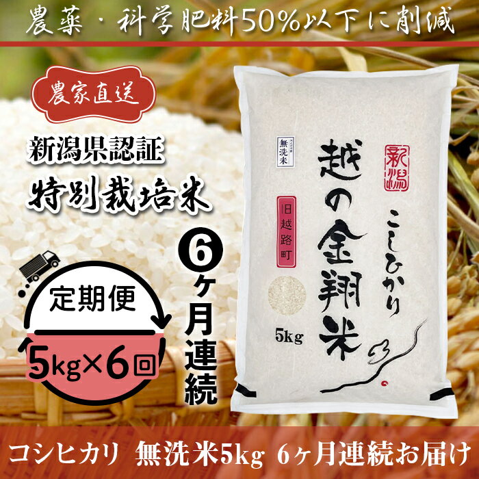 【ふるさと納税】米 無洗米 定期便 5kg 6ヶ月 白米 コシヒカリ 新潟 令和5年 J8-5MN056【6ヶ月連続お届け】新潟県長岡産コシヒカリ無洗米5kg（特別栽培米）