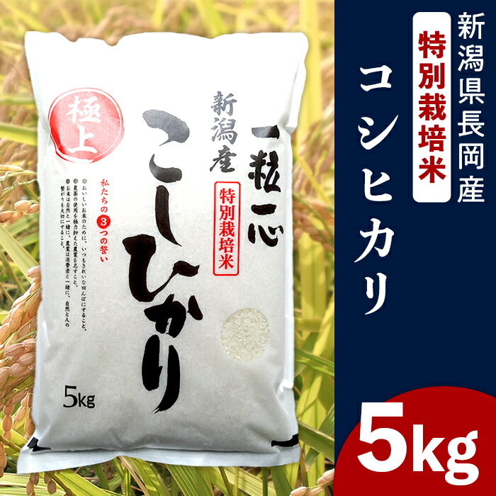 米 5kg コシヒカリ 白米 新潟 令和5年 48-051新潟県長岡産特別栽培米コシヒカリ5kg