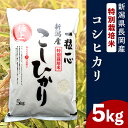 14位! 口コミ数「0件」評価「0」米 5kg コシヒカリ 白米 新潟 令和5年 48-051新潟県長岡産特別栽培米コシヒカリ5kg