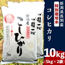 【ふるさと納税】米 10kg 白米 コシヒカリ 新潟 令和5年 48-101新潟県長岡産特別栽培米コシヒカリ10kg