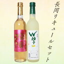 【ふるさと納税】C1-77長岡リキュールセット柚子＆梅酒（500ml×2本）