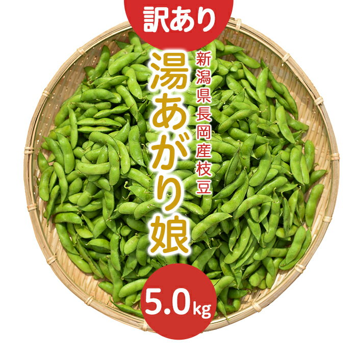 【ふるさと納税】訳あり 枝豆 傷 規格外 不揃い 新潟 冷蔵配送 75E-BY5【訳あり】新潟長岡産枝豆湯あ...