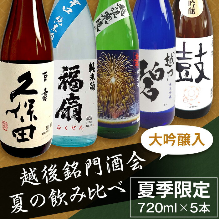 【ふるさと納税】C1-65越後銘門酒会 大吟醸入り夏の飲み比べセット 720ml×5本