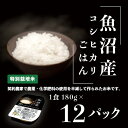 米 白米 コシヒカリ パックご飯 パックライス レンジ ごはん C2-PG12新潟県魚沼産特別栽培米コシヒカリ（長岡市川口地域）パックご飯 180g×12個