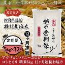 11位! 口コミ数「0件」評価「0」米 定期便 5kg 12ヶ月 白米 コシヒカリ 新潟 令和5年 J8-5N05Z【12ヶ月連続お届け】新潟県長岡産コシヒカリ5kg（特別栽培･･･ 