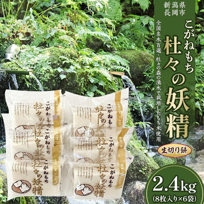 【ふるさと納税】43-07杜々の妖精こがねもち2.4kg（8枚入り×6袋）