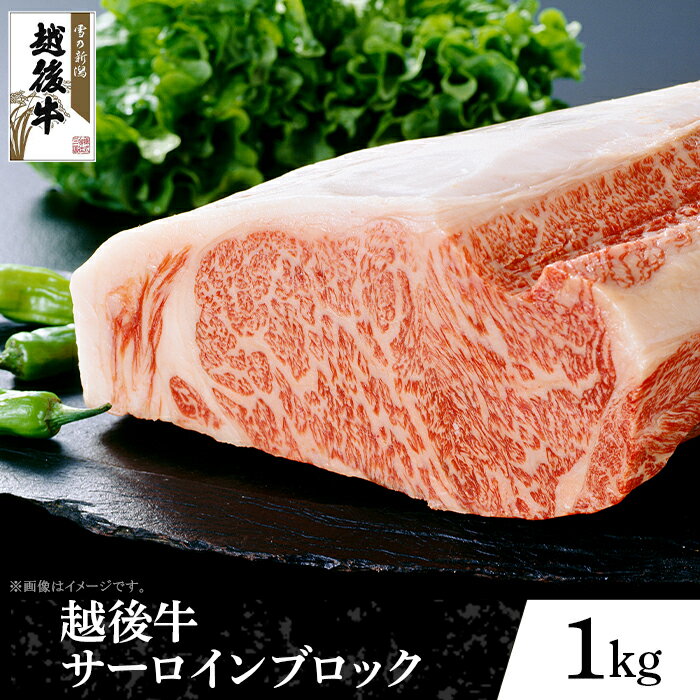 【ふるさと納税】63-42新潟県産 越後牛サーロインブロック1kg