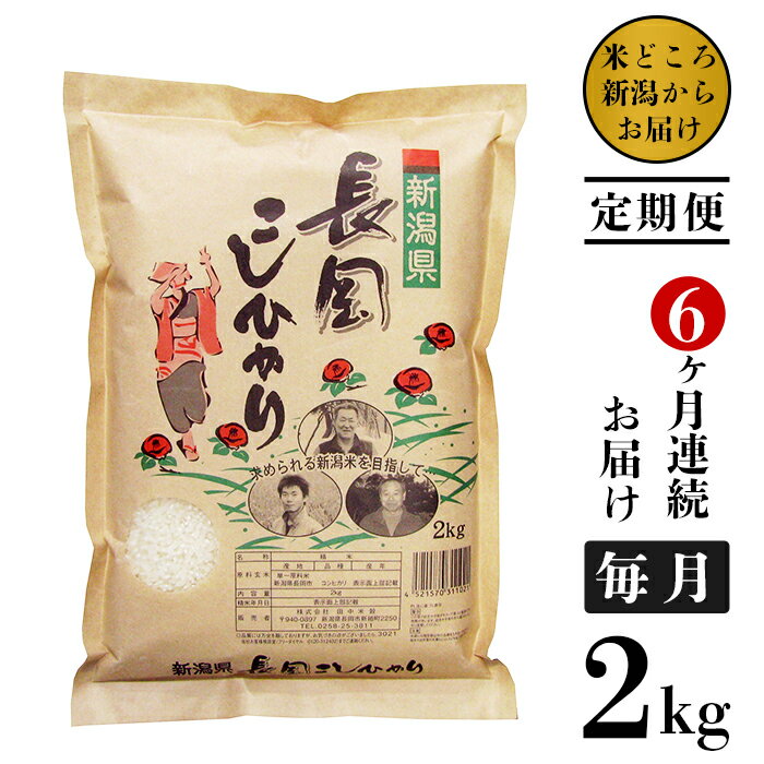 【ふるさと納税】米 定期便 2kg 6ヶ月 白米 新潟こしひかり 新潟 令和5年 73-4N026【6ヶ月連続お届け...