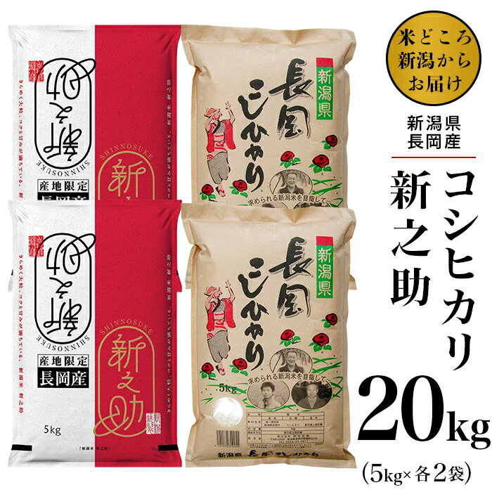 【ふるさと納税】米 白米 コシヒカリ 食べ比べ 新潟 令和5