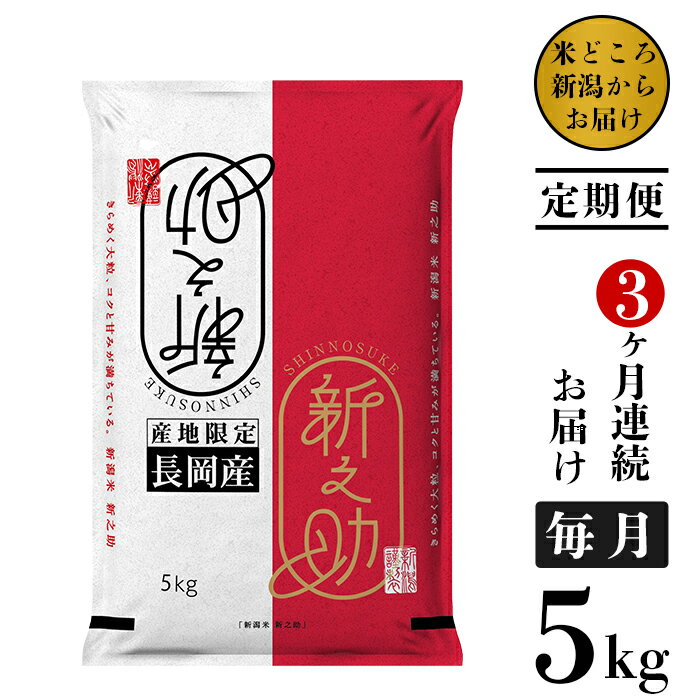 【ふるさと納税】米 定期便 5kg 白米 新之助 新潟 令和5年 73-S053【3ヶ月連続お届け】新潟県長岡産新之助5kg