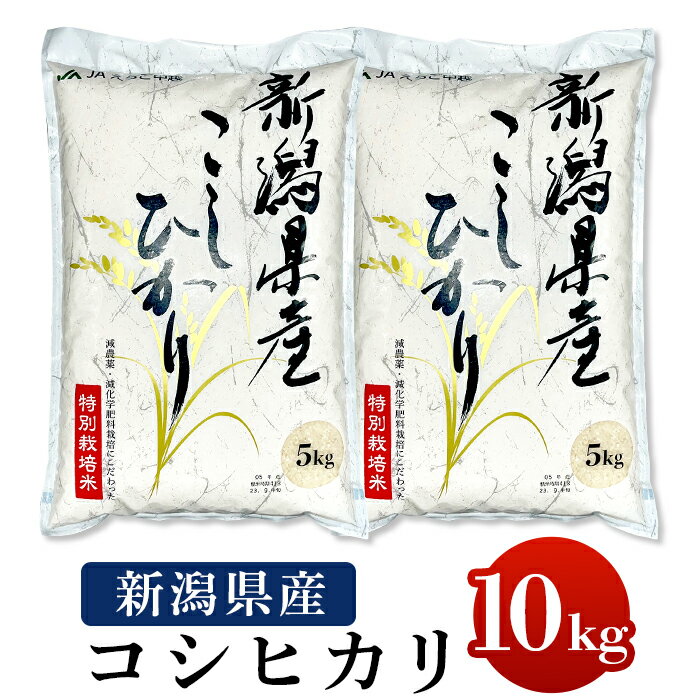 8位! 口コミ数「38件」評価「4.55」米 10kg 白米 新潟こしひかり 令和5年 75-3N101新潟県長岡産特別栽培米コシヒカリ10kg（5kg×2）