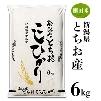 米 白米 コシヒカリ 新潟 令和5年 75-4T061新潟県長岡産コシヒカリ（栃尾地域）6kg