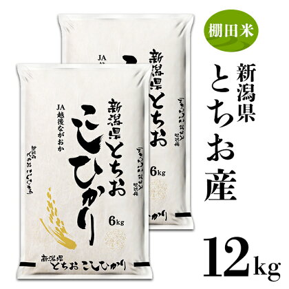 米 白米 コシヒカリ 新潟 令和5年 75-4T121新潟県長岡産コシヒカリ（栃尾地域）12kg