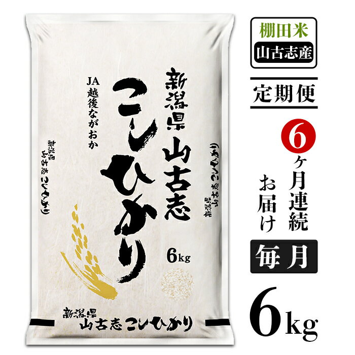 米 定期便 6ヶ月 白米 コシヒカリ 新潟 令和5年 75-Y066A新潟県長岡産コシヒカリ山古志地域棚田米6kg