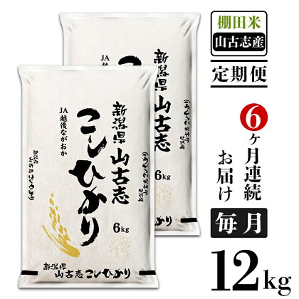 米 定期便 6ヶ月 白米 コシヒカリ 新潟 令和5年 75-Y126A【6ヶ月連続お届け】新潟県長岡産コシヒカリ山古志地域棚田米12kg