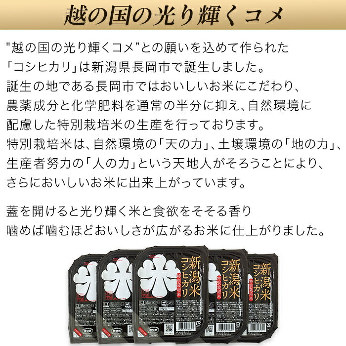 【ふるさと納税】米 白米 コシヒカリ パックご飯 パックライス レンジ ごはん 75-PG48新潟県長岡産コシヒカリ パックご飯150g×48個（特別栽培米）