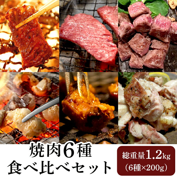 肉 焼肉 小分け 真空 食べ比べ 76-A1焼肉6種食べ比べセット 6種×200g(総重量1.2kg)